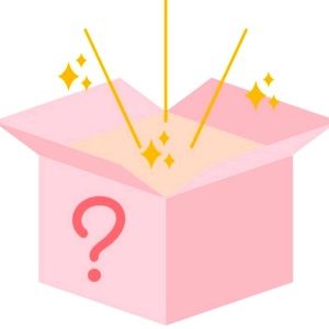 Mystery clothes box!